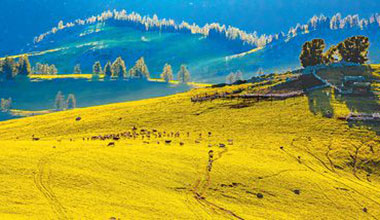 體驗生態(tài)旅游 樂享自然之美